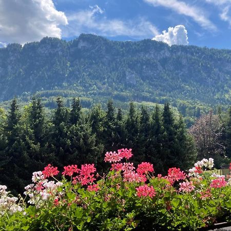Ferienwohnung Mit Seeblick, Unterach Am Attersse Unterach am Attersee Exteriör bild