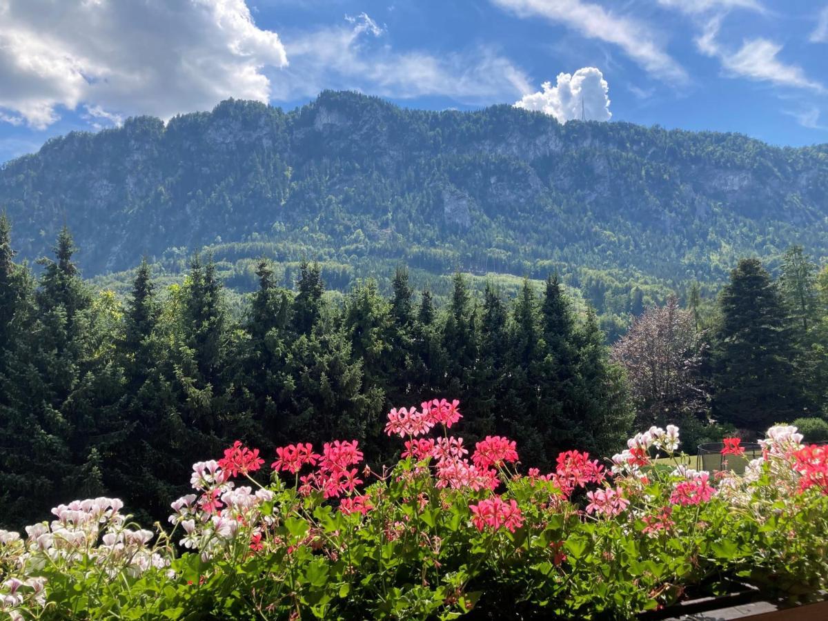 Ferienwohnung Mit Seeblick, Unterach Am Attersse Unterach am Attersee Exteriör bild